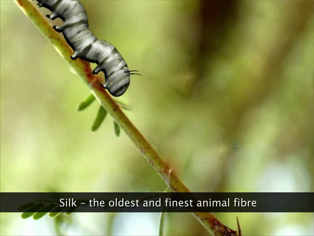 Animal Fibres - Silk